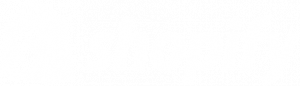 Shopify logo https://www.flagshipcompany.com