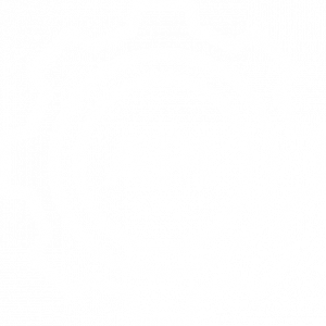 Api Logo Https://Www.flagshipcompany.com