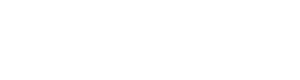 One Of Canada'S Top Growing Companies